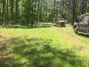 Clearing a forested area with workers and construction equipment among green trees under bright sunlight.