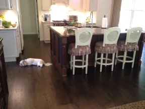 Cozy kitchen with dark hardwood flooring, wooden island with three cushioned chairs, and a dog resting on the floor.