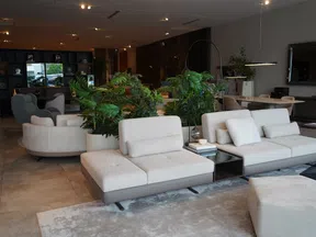 Modern living room with beige sectional sofa, indoor plants, round armchairs, and dark wood shelving in background