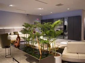 Modern living space with indoor plants, beige furniture, armchair, and dark wardrobe with mirrored doors
