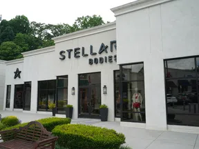 Exterior view of Stellar Bodies fitness center with large windows and green landscaping in front under cloudy sky