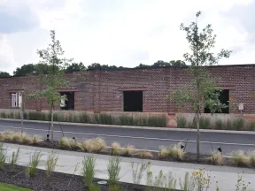 Single-story red brick building with empty windows, roadside, young trees, and landscaped grassy sidewalk area.