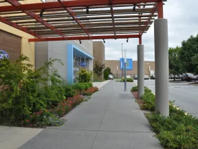 Outdoor shopping center walkway with Ross and Walmart stores, greenery, and covered pergola on a cloudy day.
