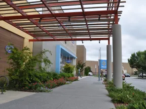 Outdoor walkway with a pergola, landscaped plants, and storefronts for Ross and Walmart in a shopping center.