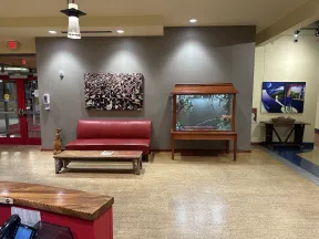 Modern waiting area with red leather couch, wooden table, glass display case, and artwork on neutral walls.