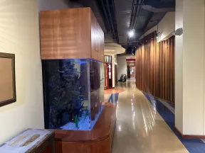 Modern hallway with wooden paneling and a large built-in aquarium filled with coral and fish.