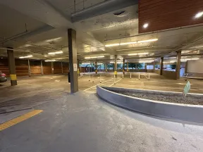 Empty indoor parking garage with concrete pillars, yellow markings, and overhead fluorescent lights