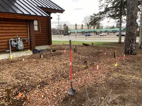 Shovel standing upright in prepared soil beside a wooden log cabin with commercial buildings in background