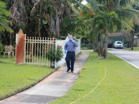 Man in blue shirt and face shield walking on sidewalk with hose spraying outdoor plants near residential street.