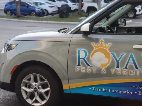 Silver Kia SUV with Royal Pest & Termite service advertisement parked in a lot with other cars in the background