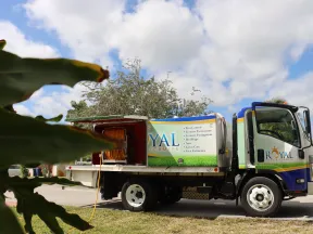 Royal Termite pest control service truck parked on a residential street with equipment and clear blue sky.