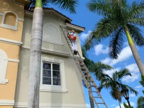 Man in white suit climbing ladder to paint house exterior surrounded by palm trees under blue sky.