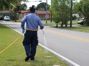 Person in blue shirt watering grass alongside a suburban road with a yellow hose in hand, wearing gloves and mask.