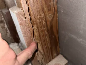 Close-up of hand pointing to cracked and damaged wooden stud inside a wall frame with insulation and drywall nearby.
