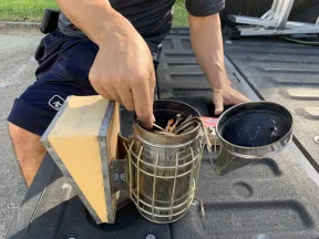 Person placing matches into a bee smoker tool on a truck bed outdoors in daylight