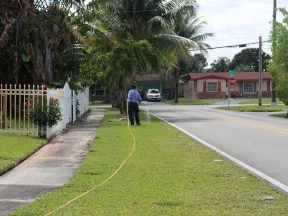 Person watering grass along suburban sidewalk with hose near palm trees and houses on sunny day