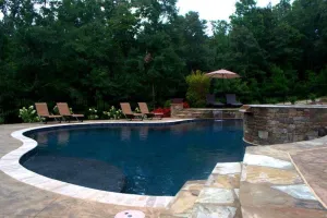 Gunite Pool with spillover spa