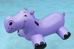 Everybody Wants a Purple Hippo