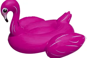 The Pink Flamingo Is A Hit With The Teens