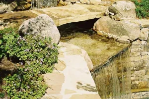 Water Features
