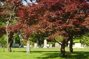 Cemeteries in New Jersey