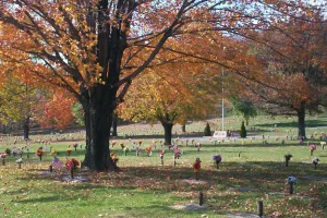 Alleghany Memorial Park