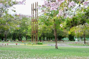 Las Mercedes Memorial Park