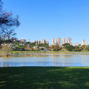 City skyline with high-rise buildings overlooking a calm lake under a clear blue sky with green grass in foreground