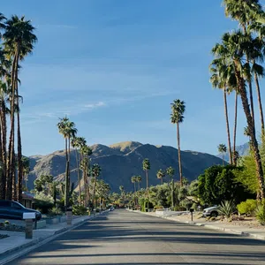 Sunny suburban street lined with tall palm trees and mountain views under a clear blue sky.