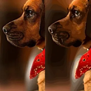 Side-by-side comparison of a dog photo in raster format and vector format