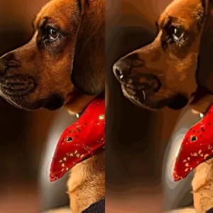 Side-by-side comparison of a dog photo in raster format and vector format