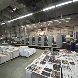 A Practical Introduction to Coated One Side (C1S) Paper Options for Offset  Printing