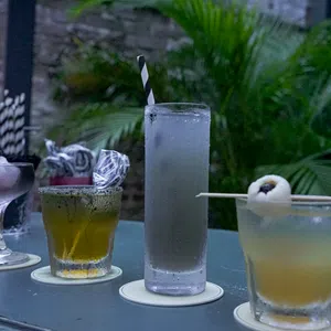 Assorted cocktails in different glasses on a bar counter with greenery in the background at dusk.