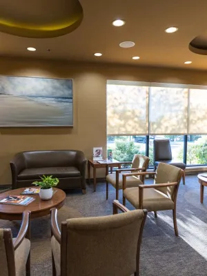 Sunlit modern waiting room with comfortable chairs, coffee tables, large windows, and decorative flowers and artwork.