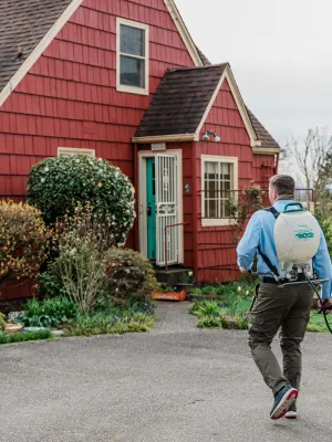 Man wearing pesticide sprayer walks toward red house with green door surrounded by bushes and garden.