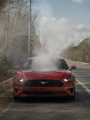 Red Ford Mustang emitting smoke from under the hood on a rural road surrounded by trees on a cloudy day