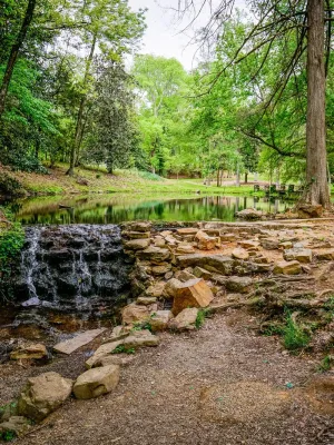 a small waterfall in a forest