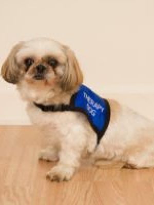 Bridgett - 5 years of service