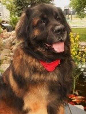 Alvin - 8 years of service
