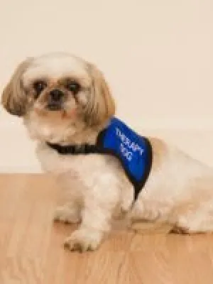 Bridgett - 5 years of service