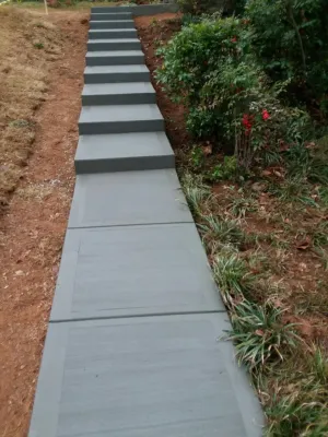 a walkway with plants and bushes