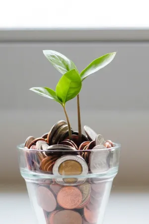 a plant in a glass jar