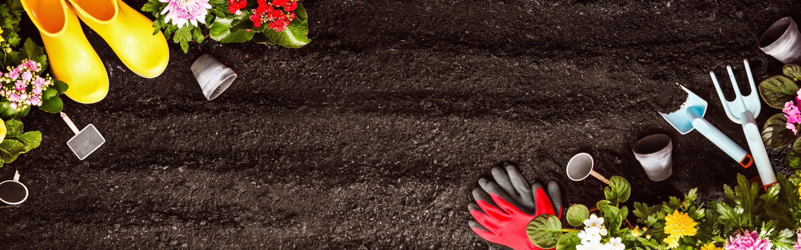 Lifetime Guarantee Pike Nurseries Pike Nurseries