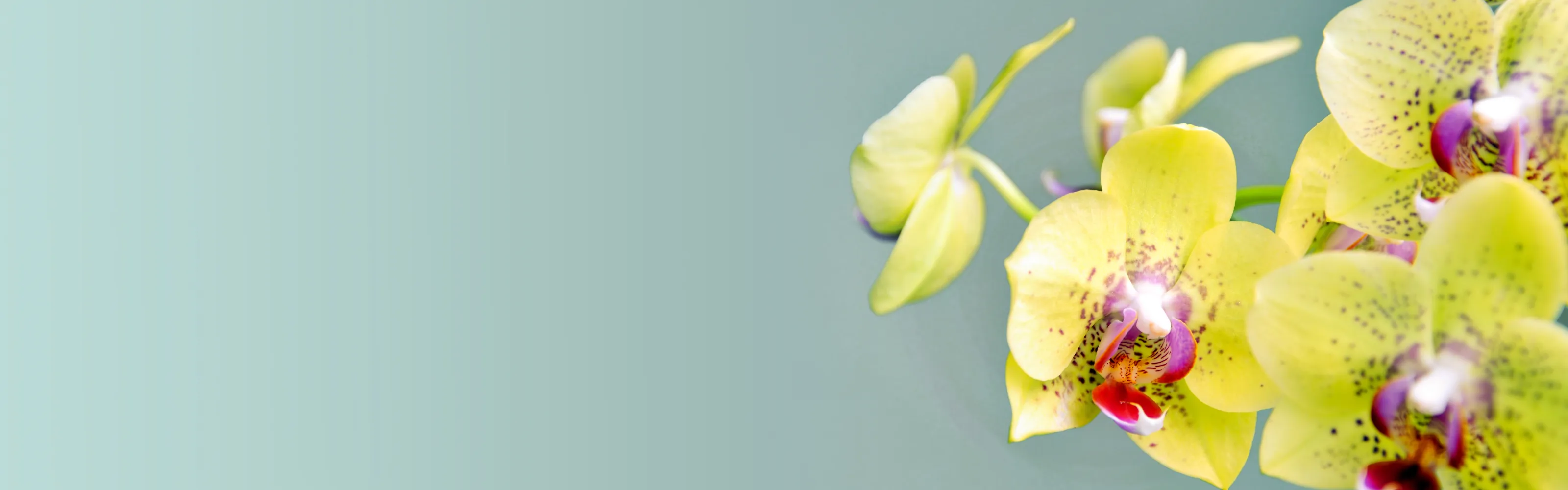 Pike Nurseries Employee Benefits Pike Nurseries