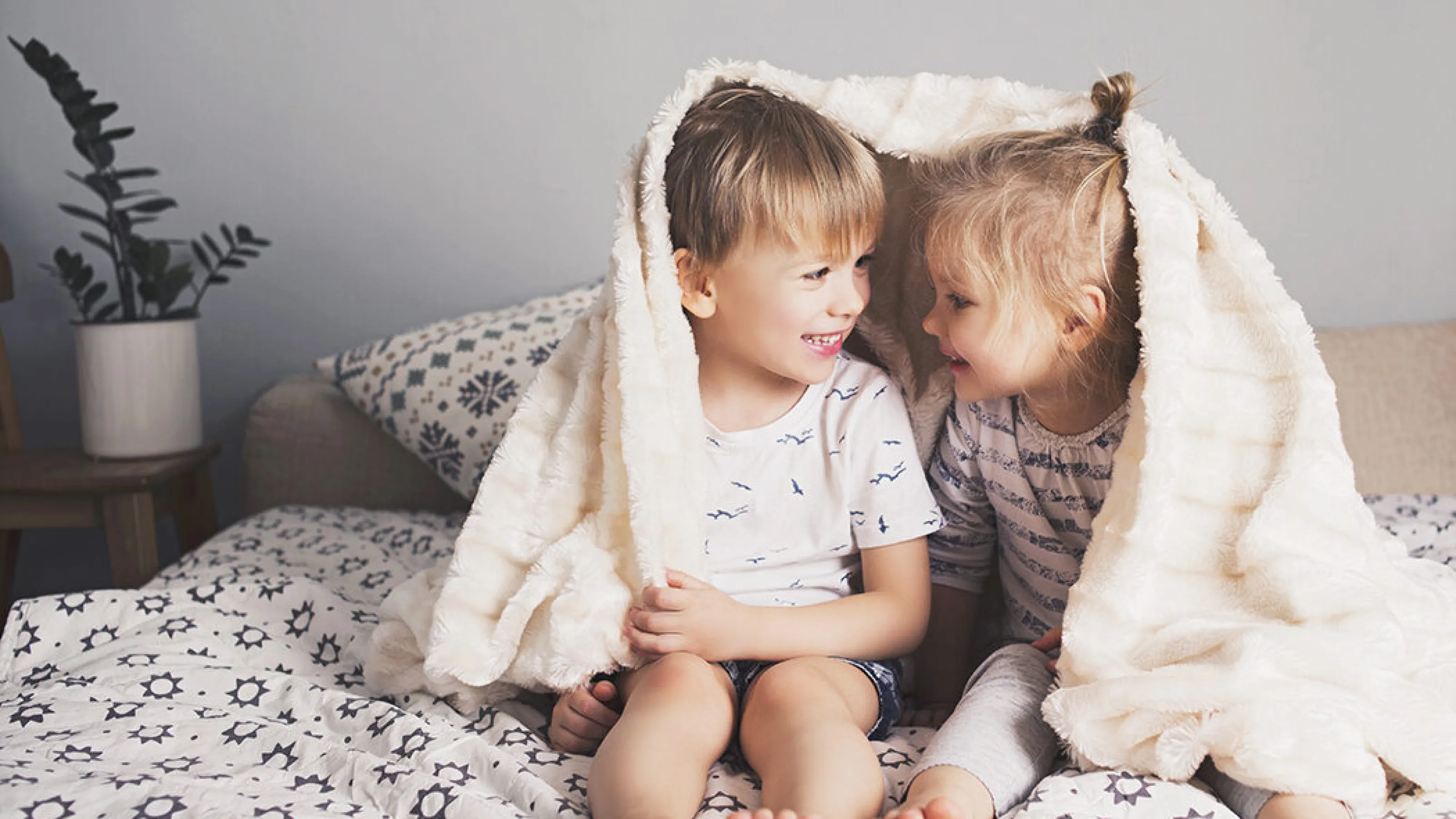 Comforters & Household Item Cleaning Services Lapels Dry Cleaning