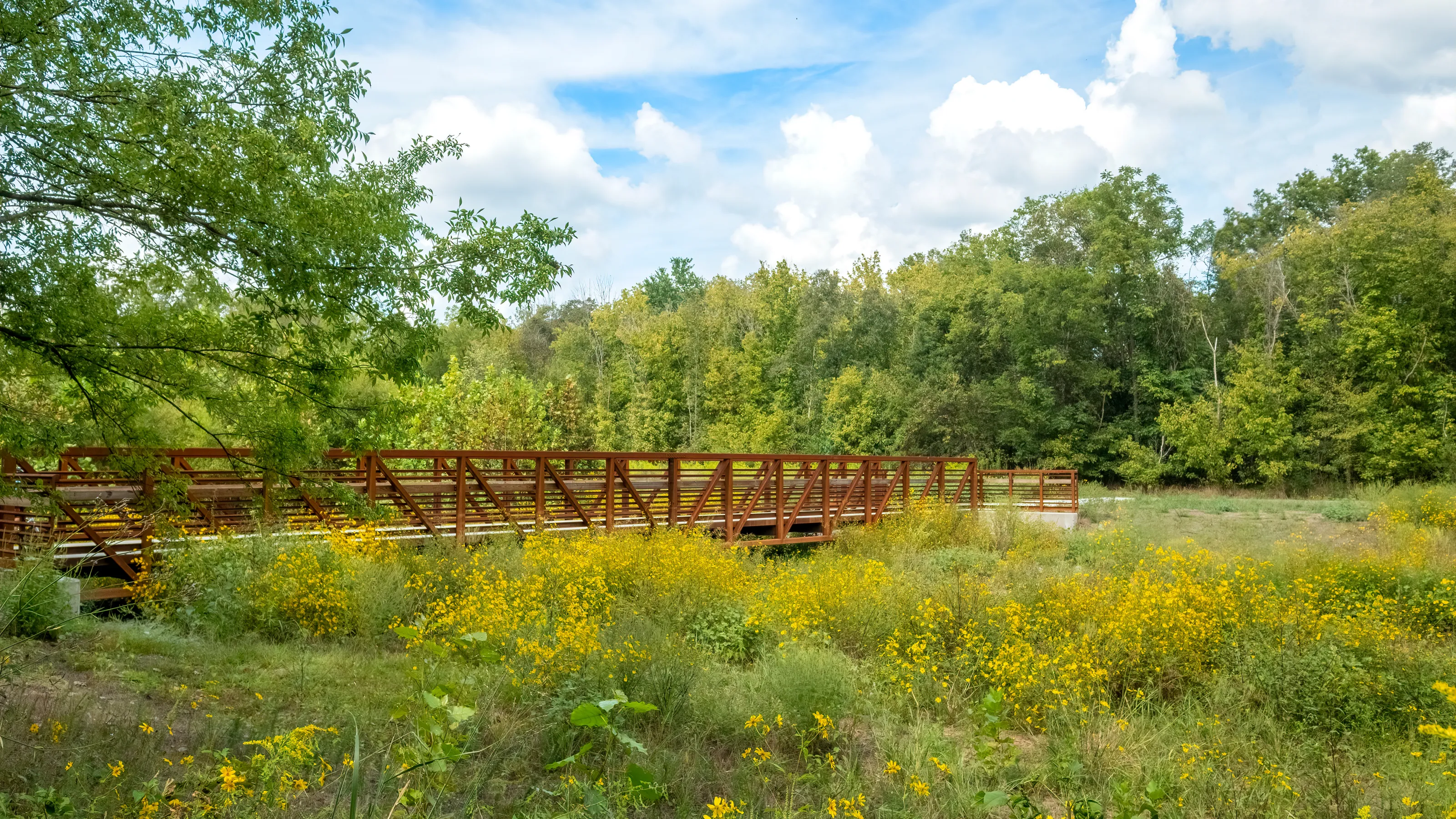 Find A Store Martinizing Cleaners