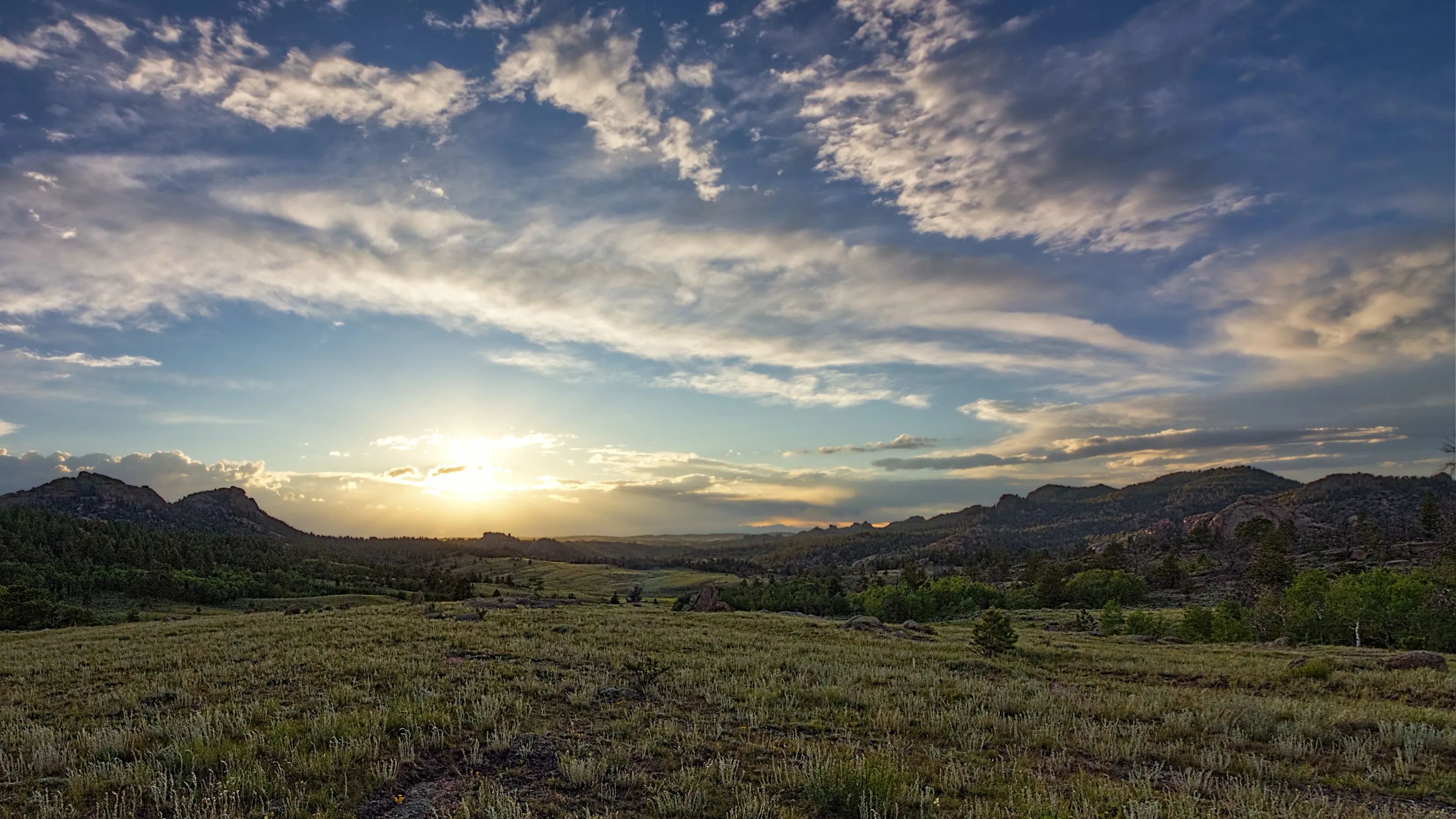 Find A Store Martinizing Cleaners