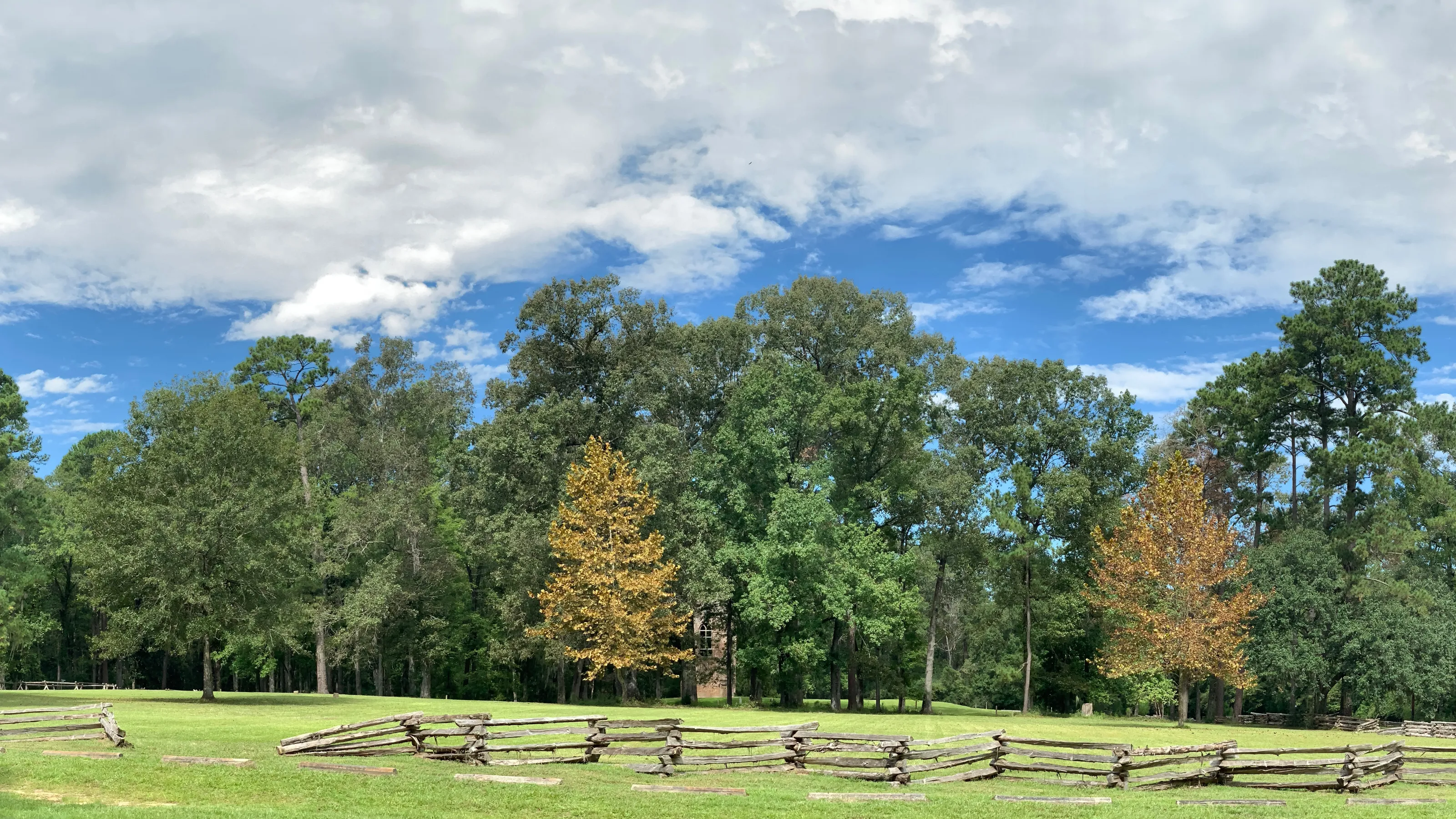 Summerville, SC Pest Control Palmetto Exterminators