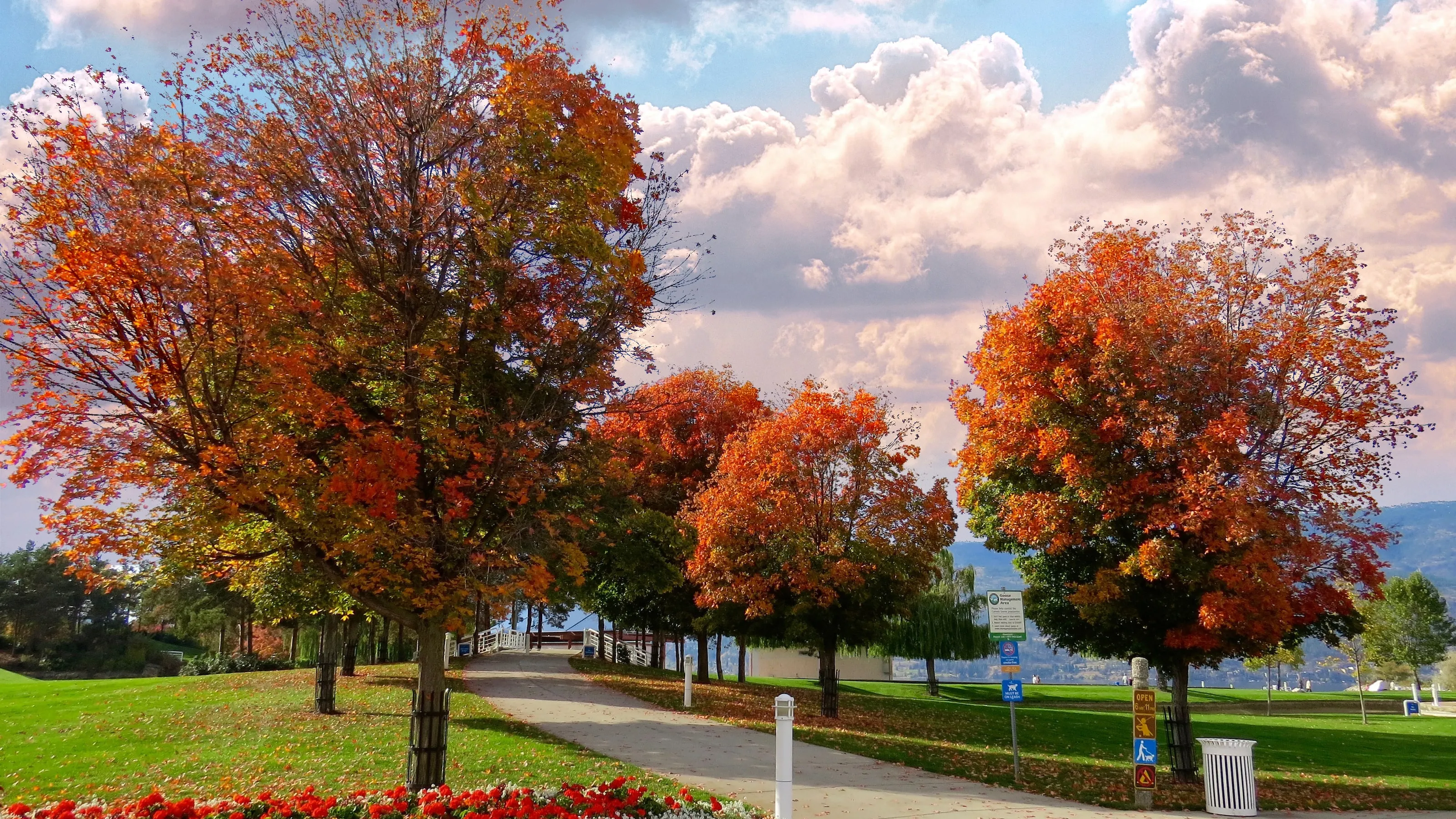 Serena Steiner Peebles Kidder