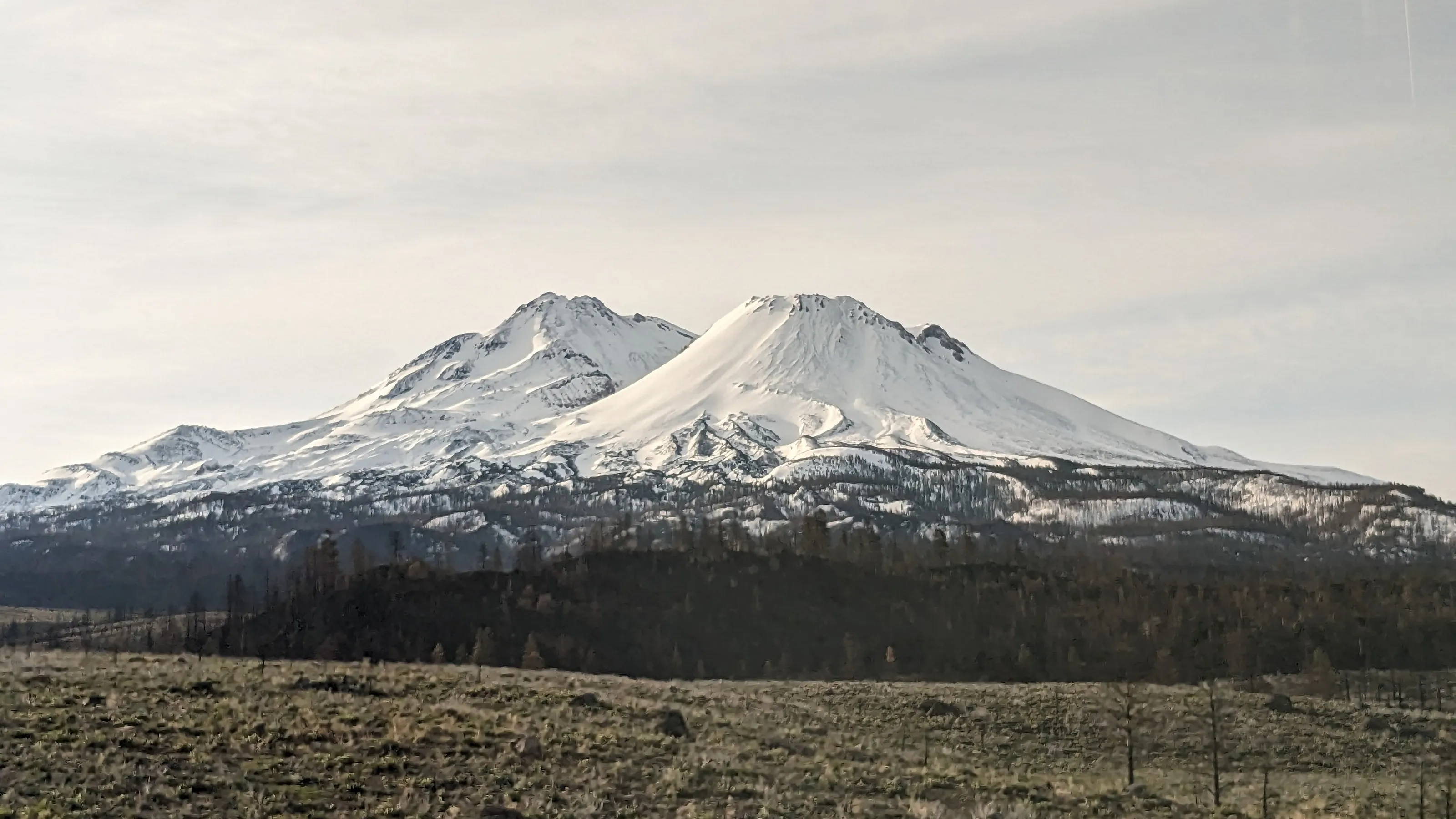 Felicia Brooks Peebles Kidder